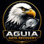 Aguia Data Recovery
